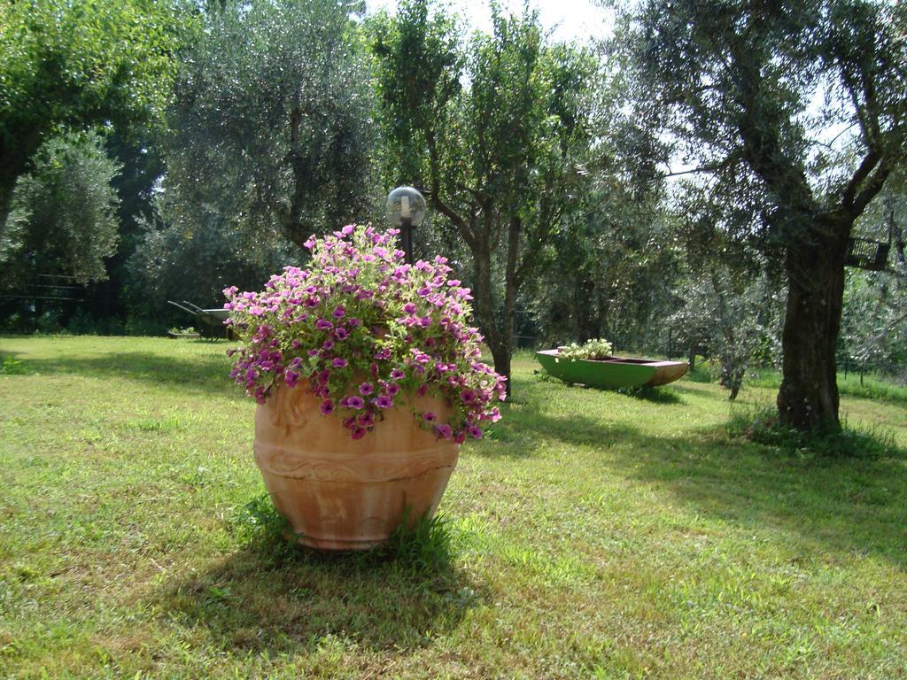 Il Fienile Di Penelope Guest House Marliana Exterior photo